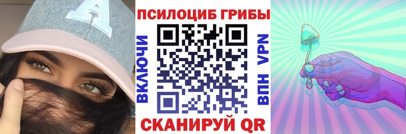 Псилоцибиновые грибы Psilocybe  Ворсма 